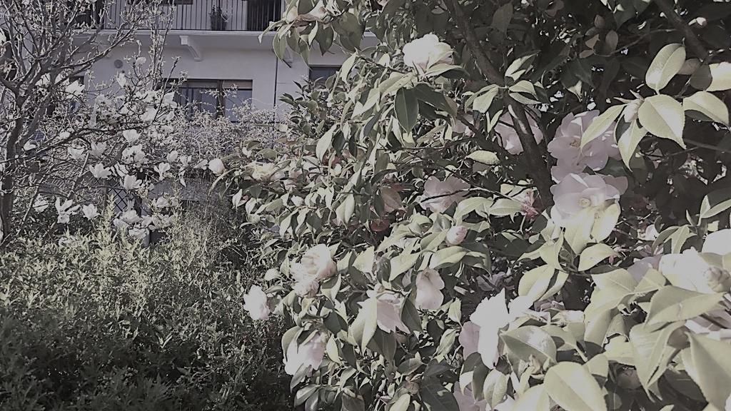 B&B Casa Passito Pavone Canavese Kültér fotó